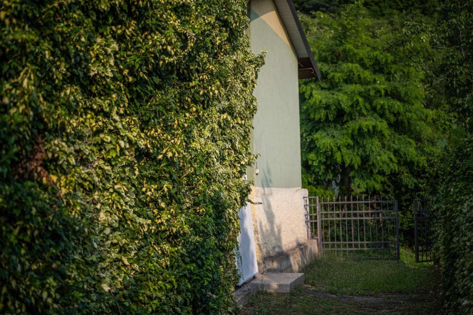 Vacation Home Rot Охрид Екстериор снимка